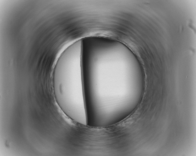 X0000095910816200801110826