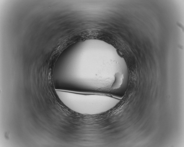 X0000095910818200801110825