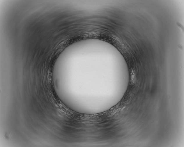 X0000095910819200801110825