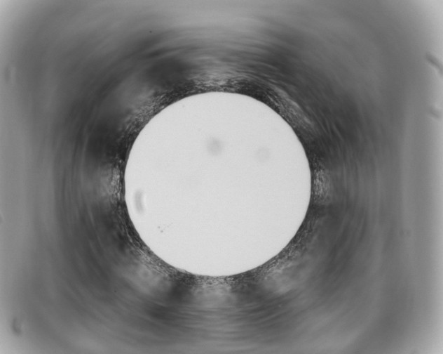 X0000095910820200801110825