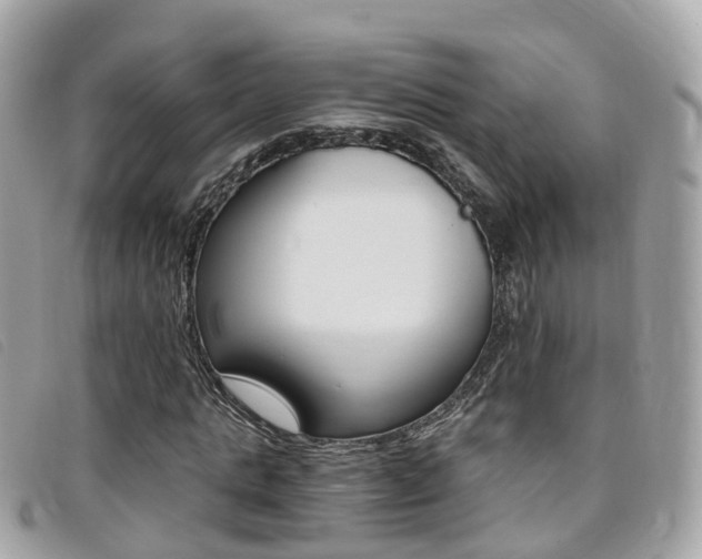 X0000095910821200801110825