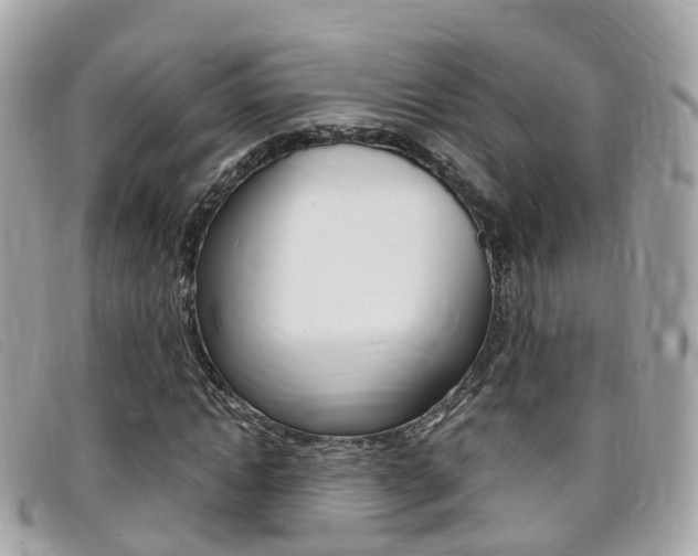 X0000095910822200801110825