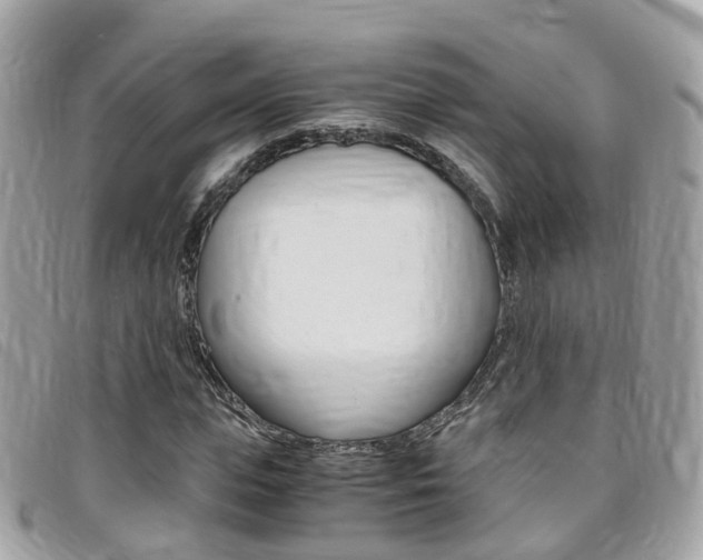 X0000095910823200801110825