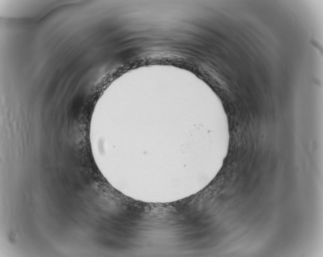 X0000095910824200801110825