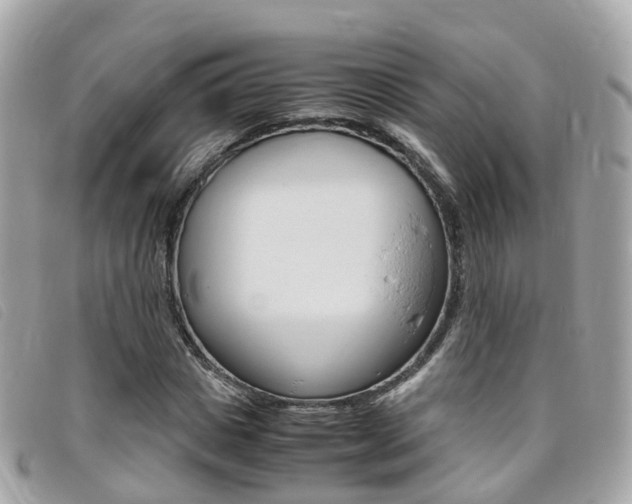 X0000095910825200801110825
