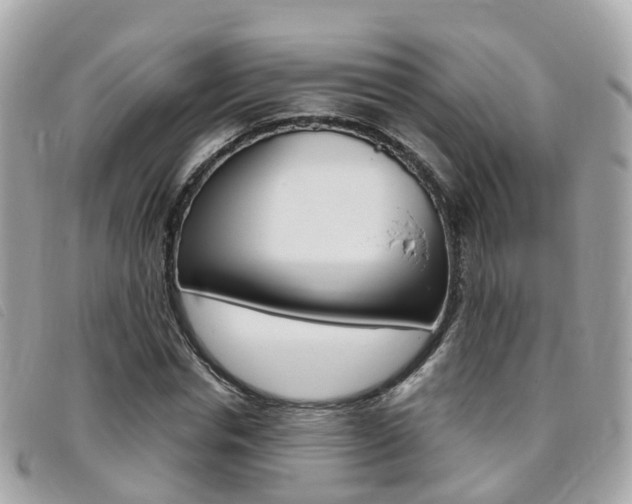 X0000095910826200801110825