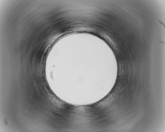 X0000095910828200801110825
