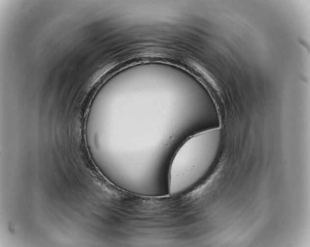 X0000095910829200801110825