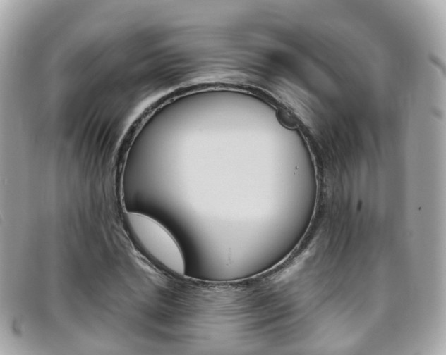 X0000095910830200801110825
