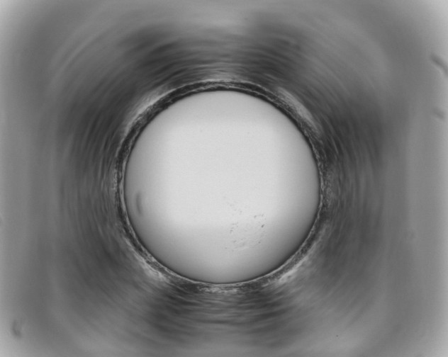 X0000095910831200801110825