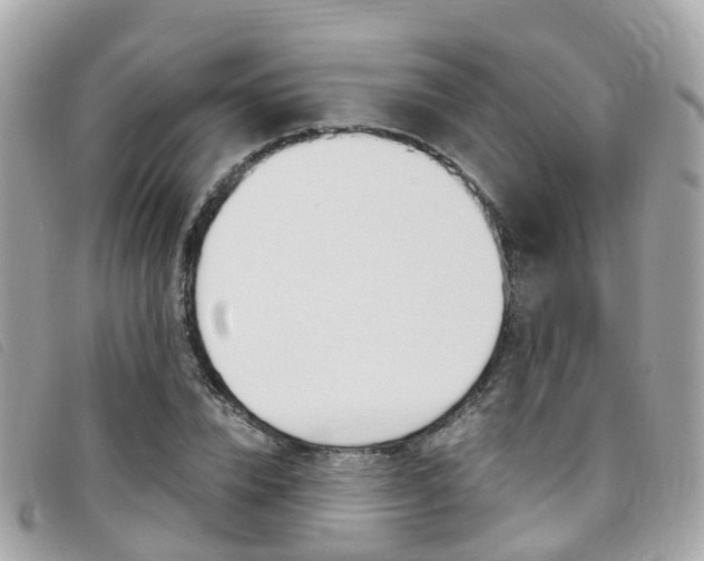 X0000095910832200801110825