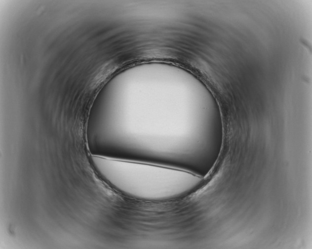 X0000095910833200801110825