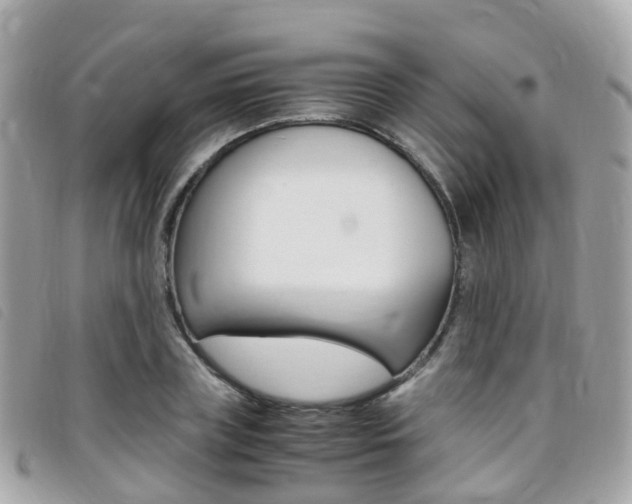 X0000095910835200801110825
