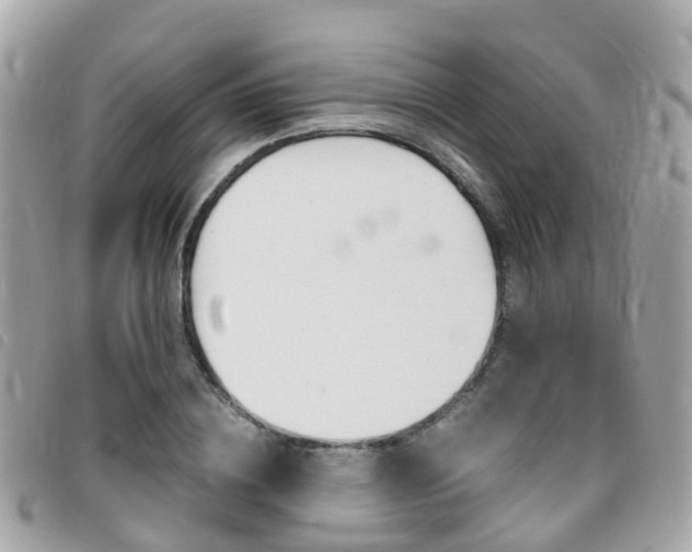 X0000095910836200801110825