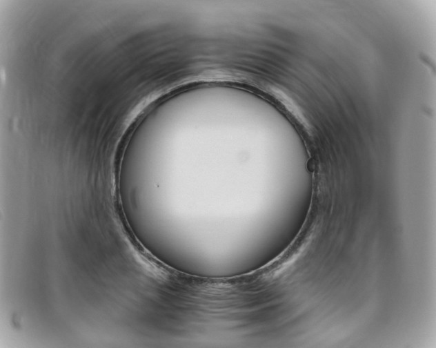 X0000095910837200801110825