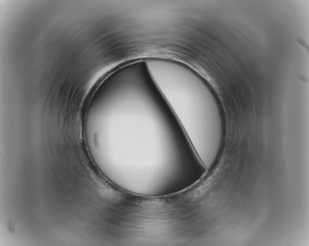 X0000095910838200801110825