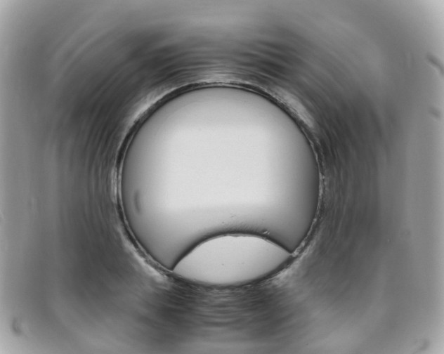 X0000095910839200801110825