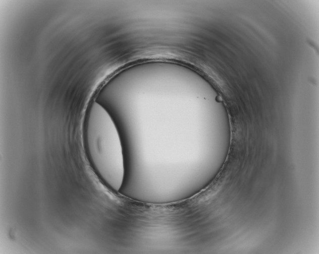X0000095910840200801110825