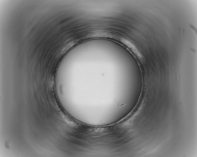 X0000095910841200801110825