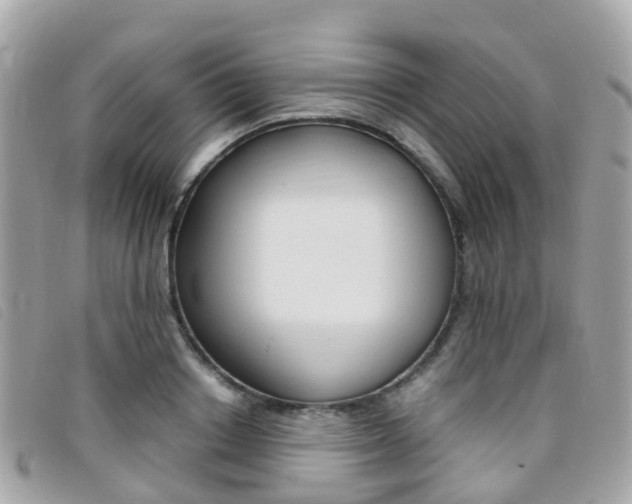 X0000095910842200801110825