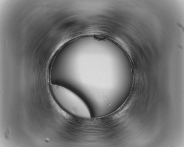 X0000095910843200801110825