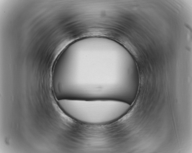 X0000095910844200801110825