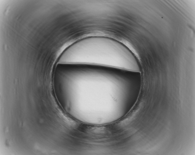 X0000095910845200801110825