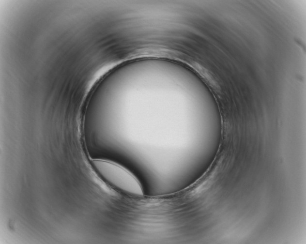 X0000095910846200801110825