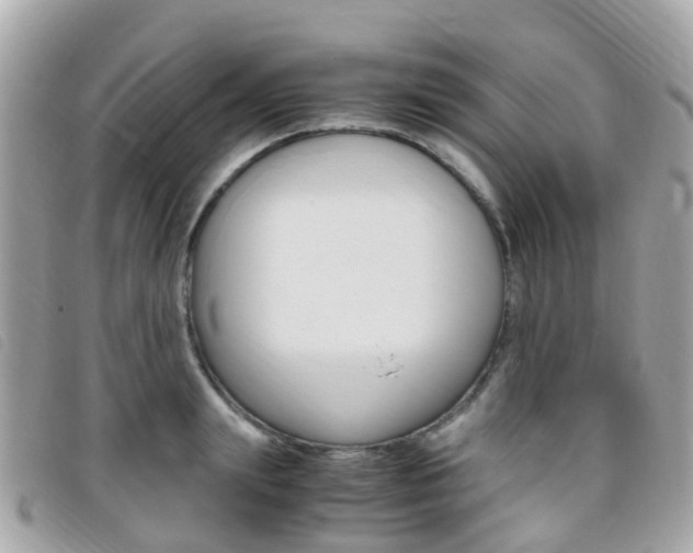 X0000095910847200801110825