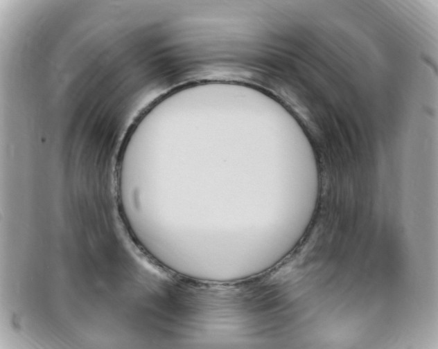 X0000095910848200801110825