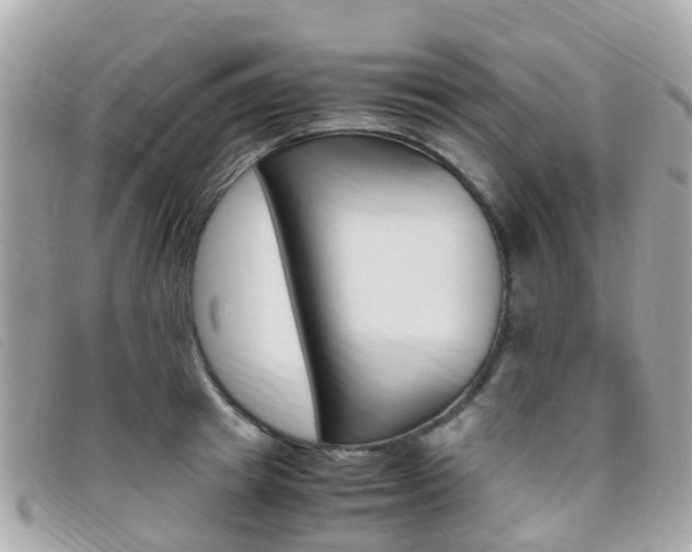 X0000095910849200801110825