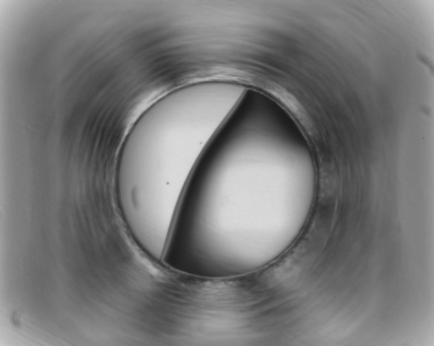 X0000095910850200801110825