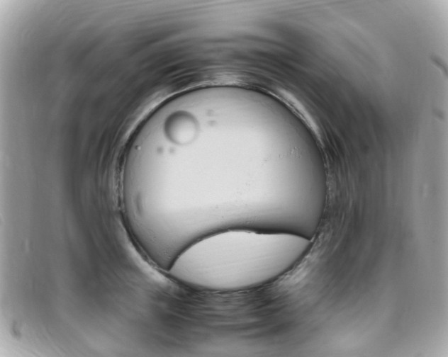 X0000095910851200801110825