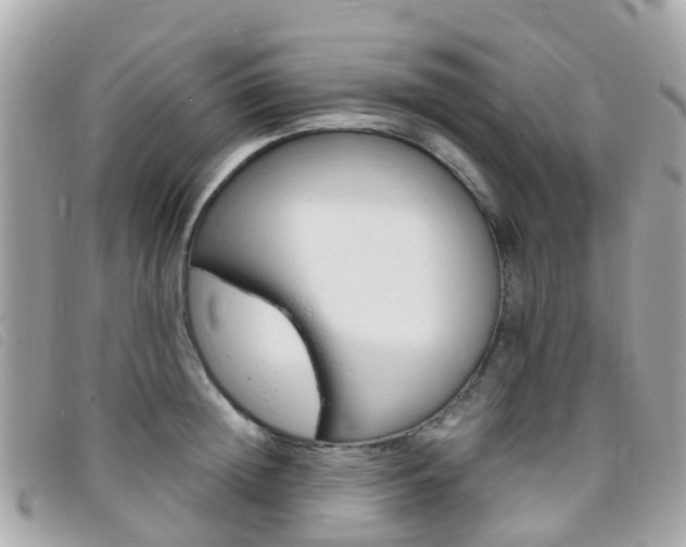 X0000095910852200801110825