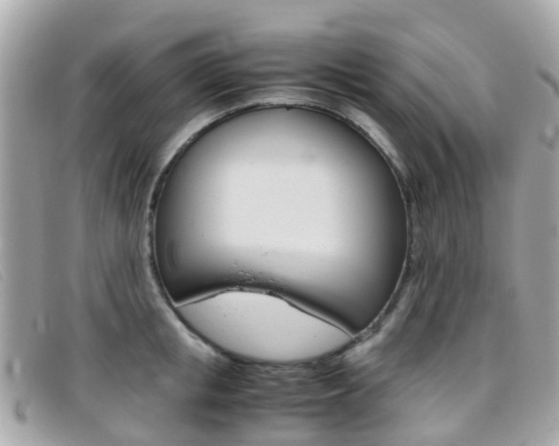 X0000095910853200801110825