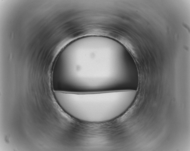 X0000095910854200801110825
