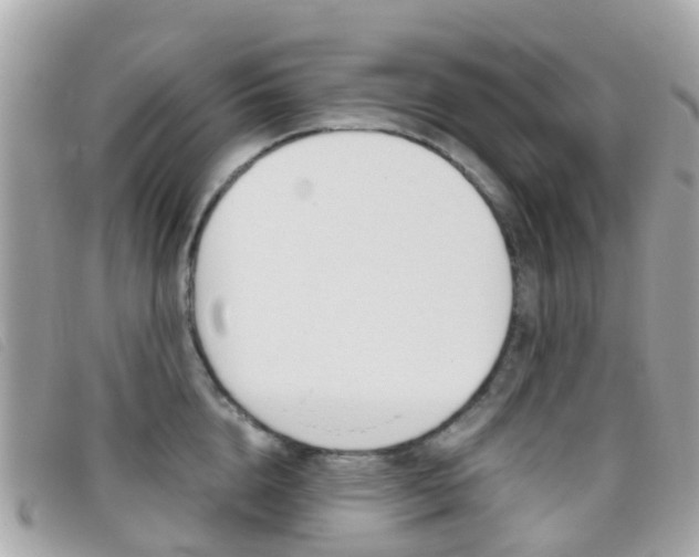 X0000095910856200801110825