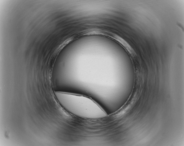 X0000095910857200801110825