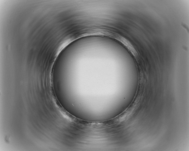 X0000095910858200801110825