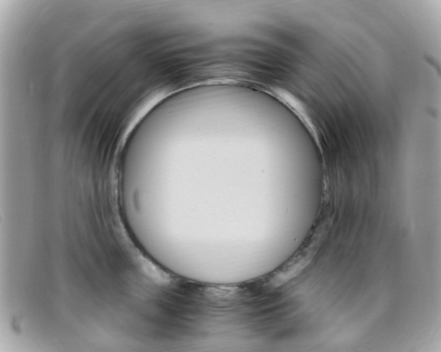 X0000095910859200801110825