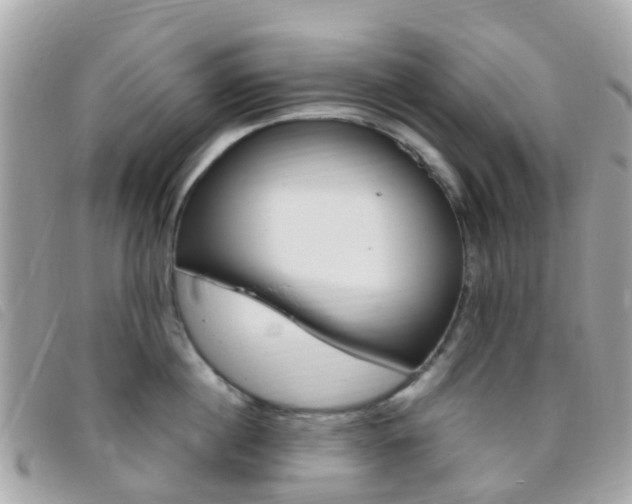 X0000095910860200801110825