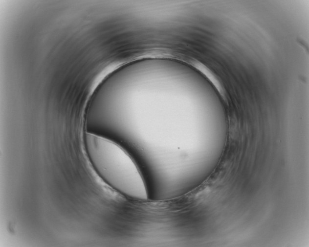 X0000095910861200801110825