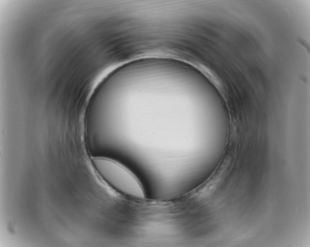X0000095910862200801110825
