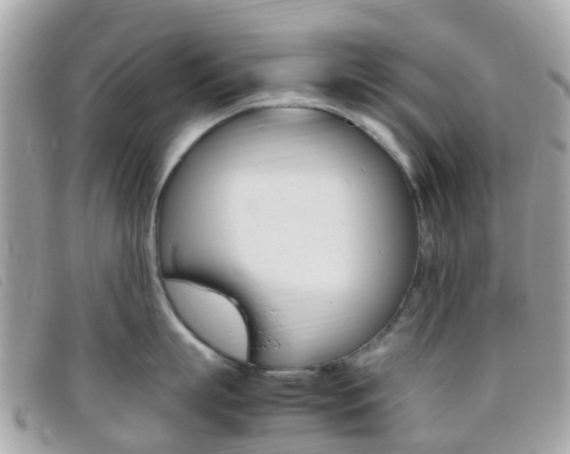 X0000095910863200801110825