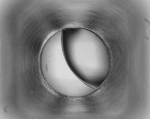 X0000095910864200801110826