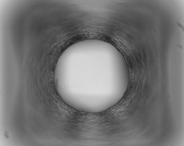 X0000095910865200801110825