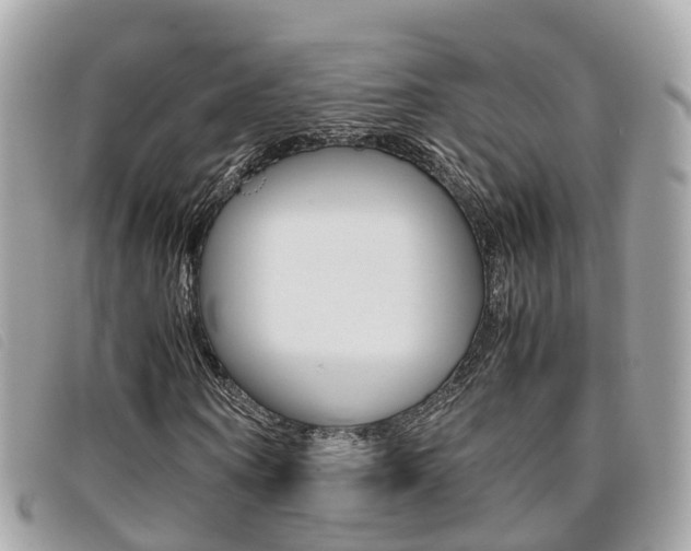 X0000095910866200801110825