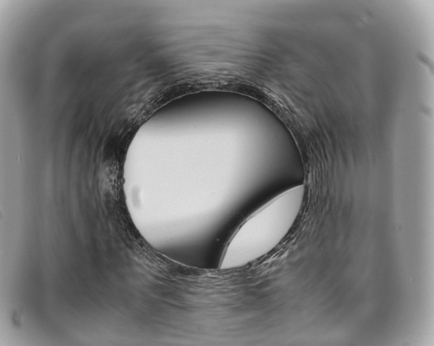 X0000095910867200801110825