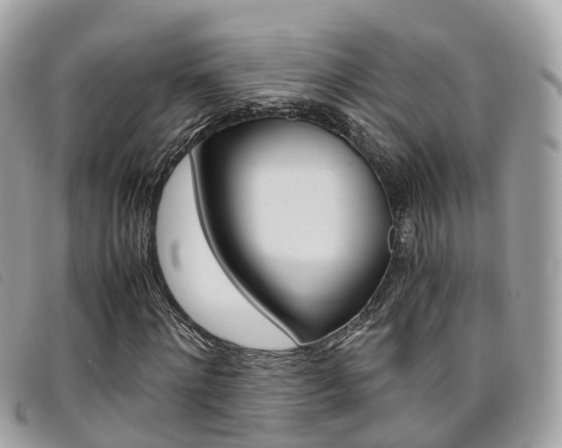 X0000095910868200801110825