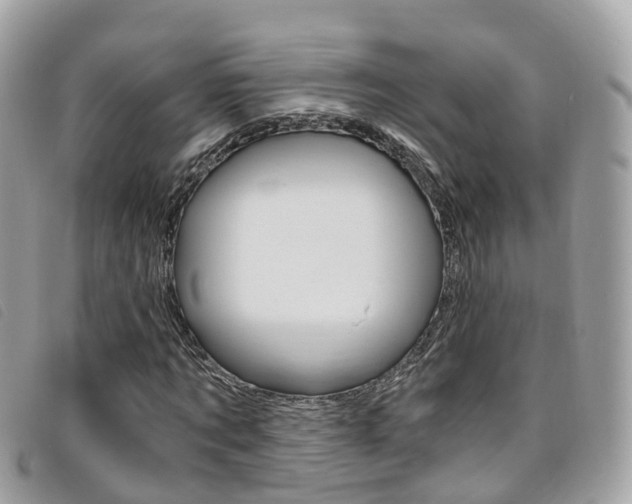 X0000095910869200801110825